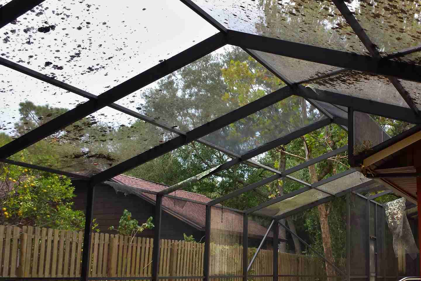 05-before-pool-enclosure-roof-re-screen.jpg